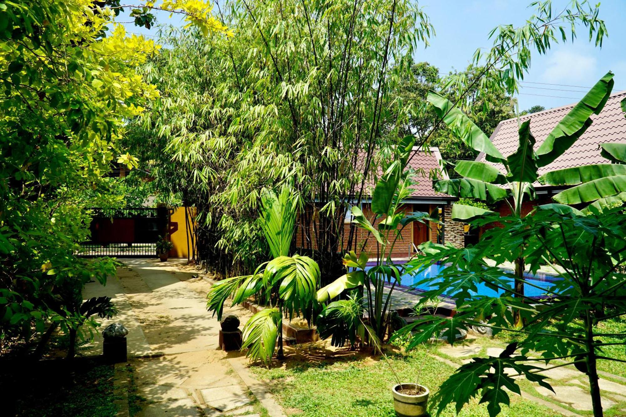 Millet'S Food Company And Cooking Center Hotel Negombo Exterior foto