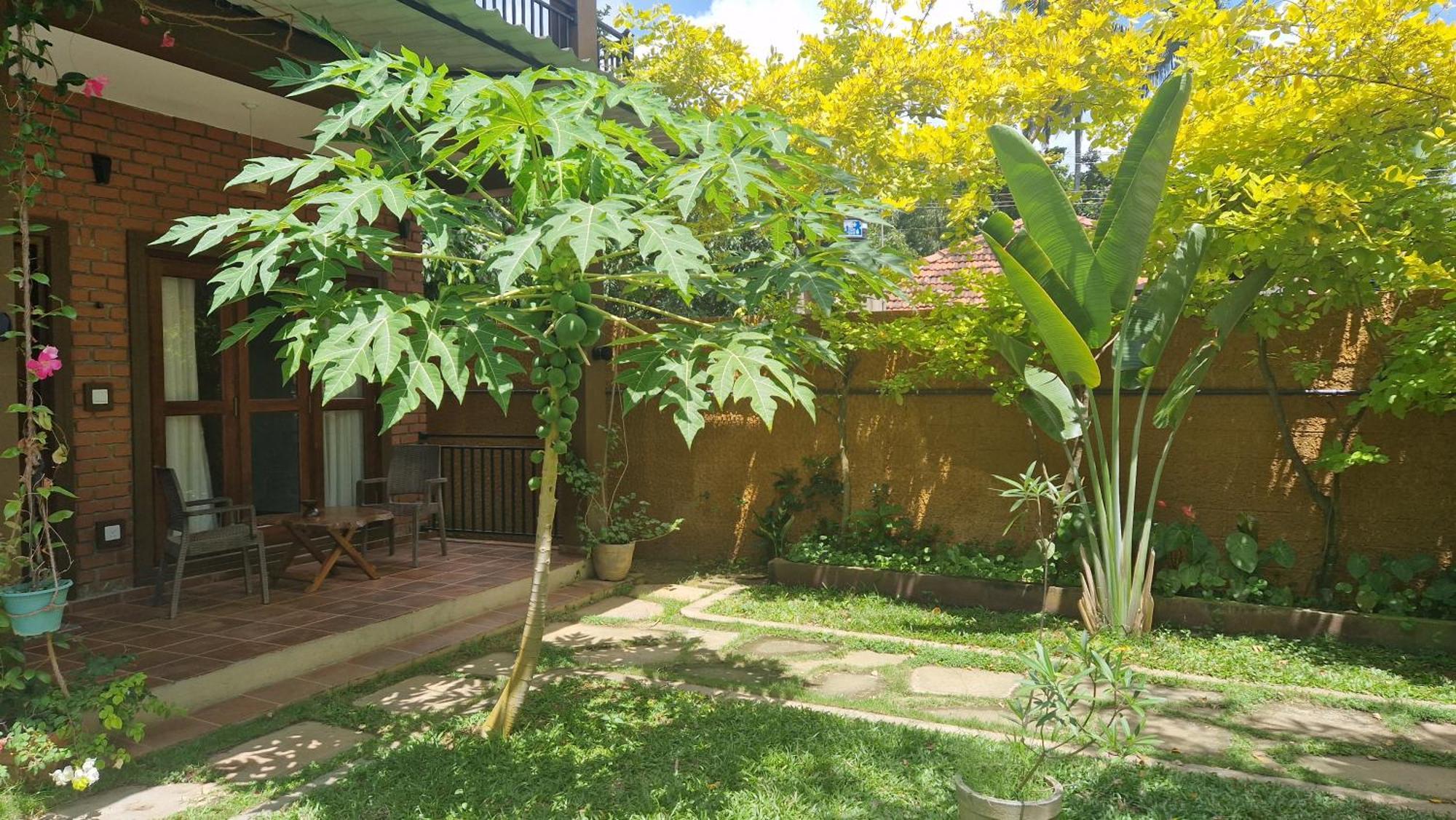 Millet'S Food Company And Cooking Center Hotel Negombo Exterior foto