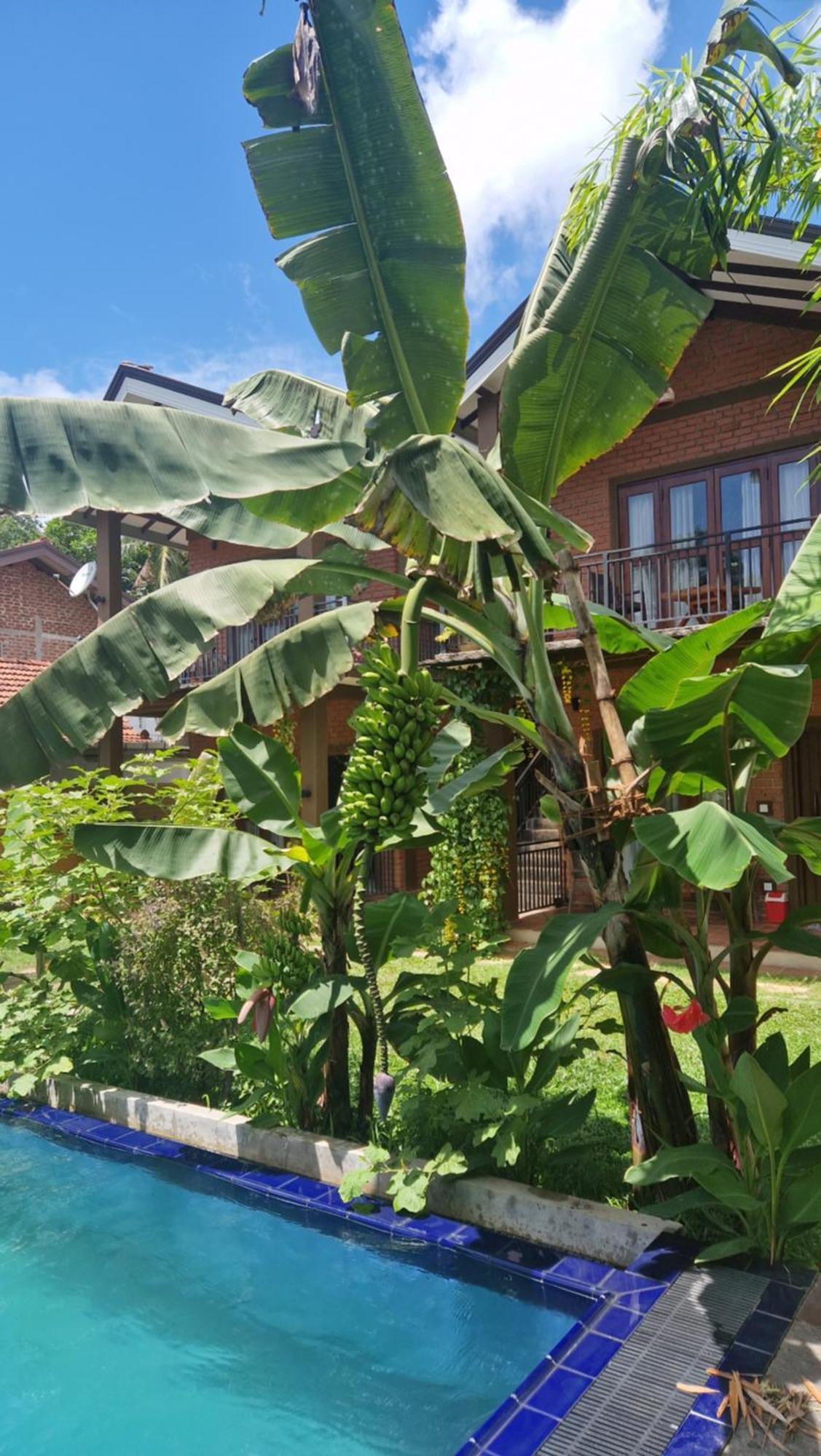 Millet'S Food Company And Cooking Center Hotel Negombo Exterior foto